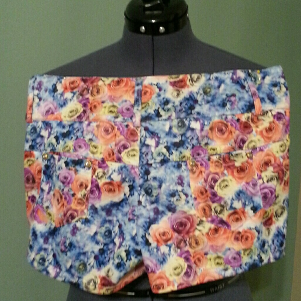 💐Cyn Shorts - Picture 5 of 6